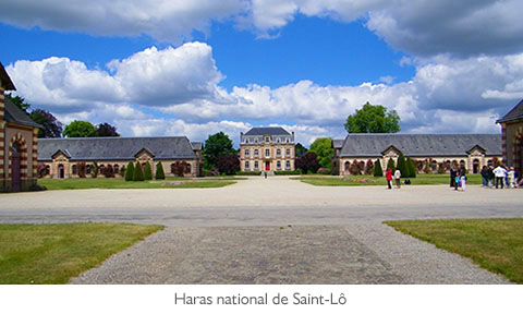 Haras national de Saint-Lô